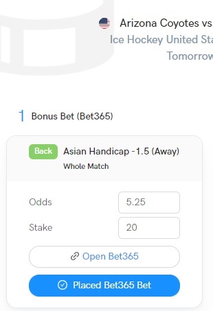 Image showing the back bet