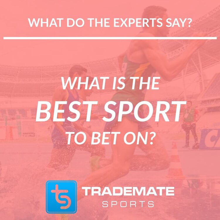 Best sport to bet on