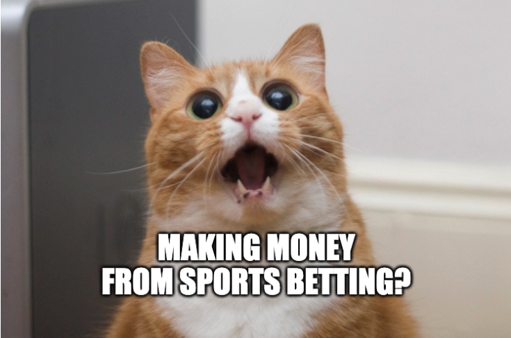 cat meme sports betting