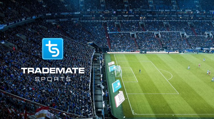 Top 10 Sports Betting Blogs to Read and Follow