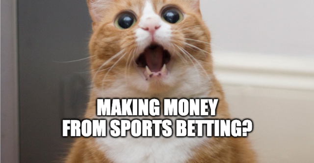 cat meme sports betting