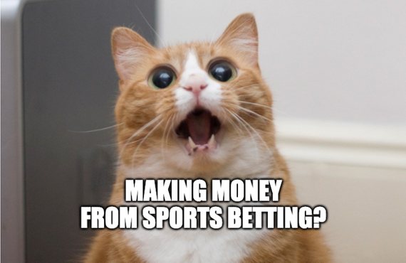 cat meme sports betting